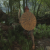 "Militia - Sword & Shield" icon